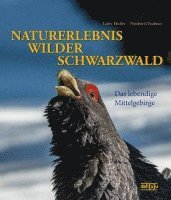 bokomslag NATURERLEBNIS WILDER SCHWARZWALD