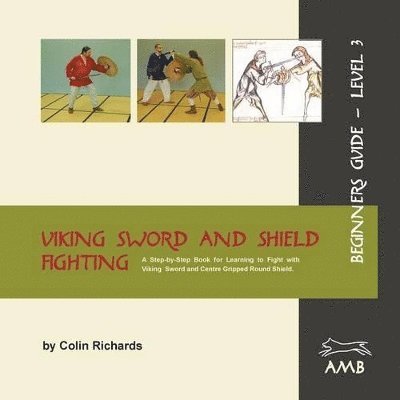 Viking Sword and Shield Fighting Beginners Guide Level 3 1