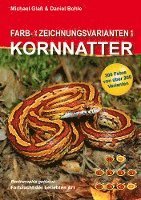 bokomslag Farb- und Zeichnungsvarianten der Kornnatter