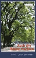 Ulrich Schröder - Auch alte Bäume wachsen, Häftad