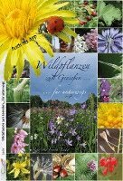 Rita Lüder, Frank Lüder - Wildpflanzen zum Genießen..., Häftad