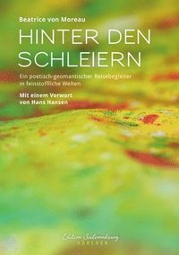 bokomslag Hinter den Schleiern: Ein poetisch-geomantischer Reisebegleiter in feinstoffliche Welten