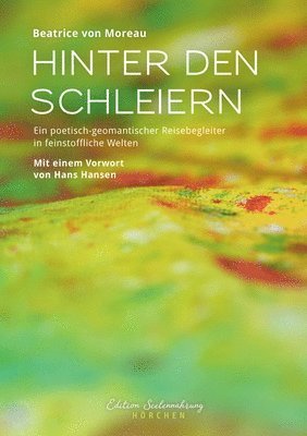 bokomslag Hinter den Schleiern: Ein poetisch-geomantischer Reisebegleiter in feinstoffliche Welten