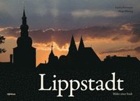 bokomslag Lippstadt