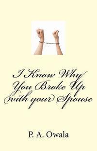 I Know Why You Broke Up with your Spouse 1