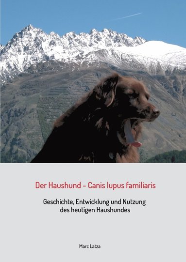 Marc Latza - Haushund - Canis lupus familiaris, Häftad