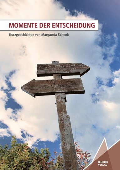 bokomslag Momente der Entscheidung