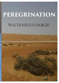 bokomslag Peregrination