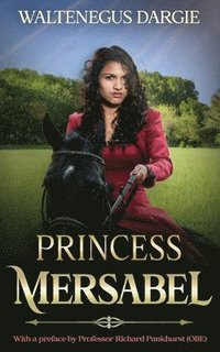 bokomslag Princess Mersabel