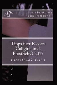 bokomslag Tipps fuer Escorts Callgirls inkl. ProstSchG. 2017: Escortbook Vol. 1
