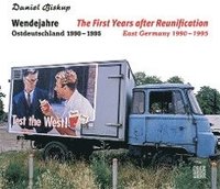bokomslag Wendejahre Ostdeutschland 1990 - 1995