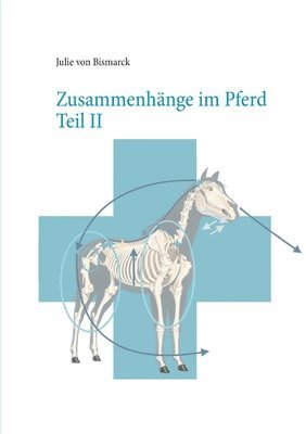 bokomslag Zusammenhnge im Pferd Teil II