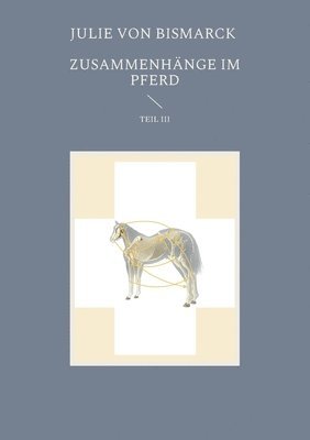 bokomslag Zusammenhänge im Pferd III