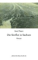 bokomslag Die Sintflut in Sachsen