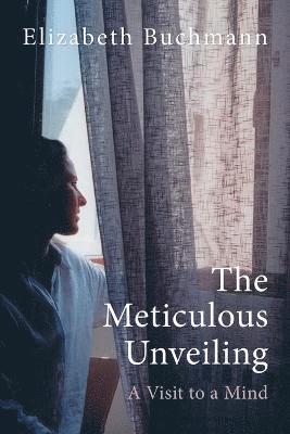 The Meticulous Unveiling 1