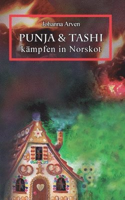 Punja & Tashi kämpfen in Norskot - Band 1