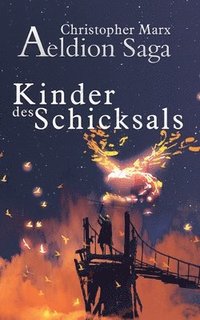 bokomslag Kinder des Schicksals