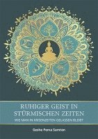 bokomslag Ruhiger Geist in stürmischen Zeiten