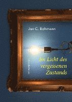 bokomslag Im Licht des vergessenen Zustands