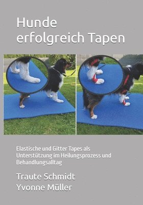 Hunde erfolgreich Tapen 1