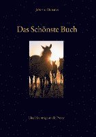 bokomslag Das Schönste Buch