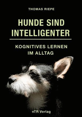 Hunde sind Intelligenter: Kognitives Lernen im Alltag