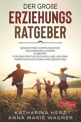 bokomslag Der grosse Erziehungsratgeber