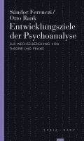 bokomslag Entwicklungsziele der Psychoanalyse