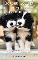 bokomslag Border Collies im Fokus - das erste Jahr