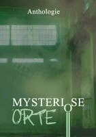 Tobias Habenicht, P. C. Thomas, Detlef Schirrow, Barbara Kloska, Inga Kess, Ilona Grüning, Daniel Huster, Julia A. Jorges, Oliver Borchers, Ruben Brüstle, Monika Grasl, Johannes Harstick, Oliver Henzler, Monique Kelbing, Bettina Ickelsheimer-Förster - Mysteriöse Orte, Häftad