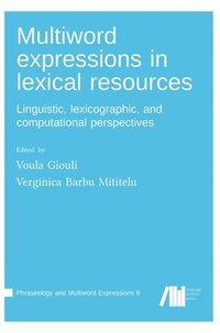 bokomslag Multiword expressions in lexical resources