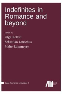 bokomslag Indefinites in Romance and beyond