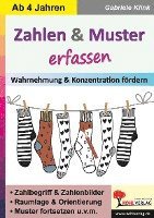 bokomslag Zahlen & Muster erfassen