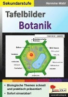 bokomslag Tafelbilder Botanik