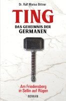 Ralf Marius Bittner, Wolfgang Stark, Doris Litz - TING, Häftad