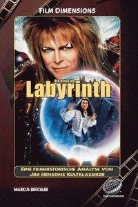 bokomslag Reise ins Labyrinth