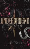 bokomslag Underground Devils