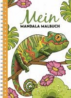 bokomslag Mein Mandala Malbuch