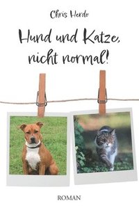 bokomslag Hund und Katze, nicht normal!