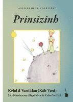 bokomslag Prinsizinh