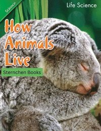 bokomslag How Animals Live