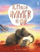 bokomslag Ich bleib immer bei dir