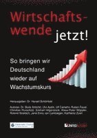 Eckhart Hilgenstock, Jane Enny van Lambalgen, Klaus-Peter Stöppler, Ulvi Aydin, Christian Florschütz, Ruben Faust, Roland Streibich, Bodo Antonic, Karlheinz Zuerl, Harald Schönfeld - Wirtschaftswende jetzt!, Häftad