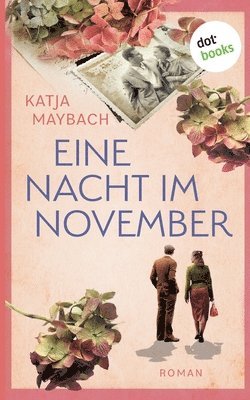 bokomslag Eine Nacht im November