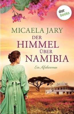 bokomslag Himmel über Namibia - oder