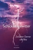 bokomslag Schicksalsgewitter - Zwischen Donner und Blitz