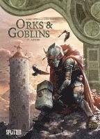 bokomslag Orks & Goblins. Band 17