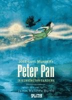 bokomslag Peter Pan in Kensington Gardens (Graphic Novel)