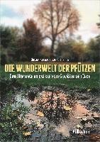 Ursula Kosser, Susanne Bergius - Die Wunderwelt der Pfützen, Häftad