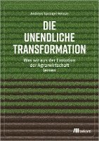 bokomslag Die unendliche Transformation